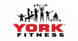 logo: York